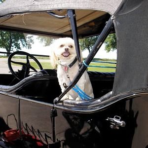 Meet your Posher, Nancy